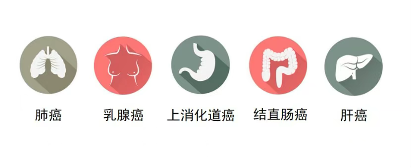 908abf29c2d8516e0f8acf280b5060e0.png 908abf29c2d8516e0f8acf280b5060e0.png