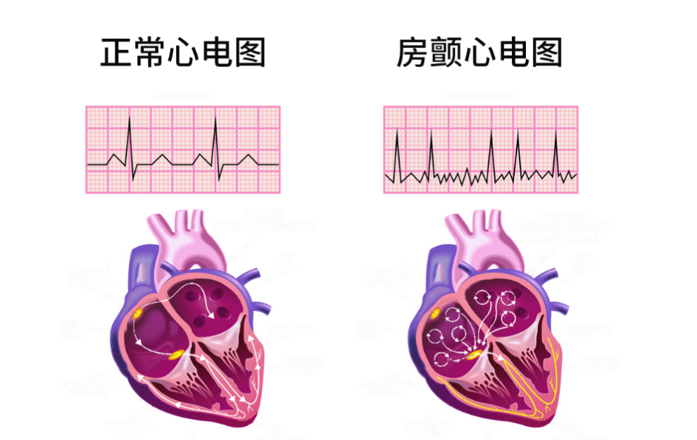 圖片1.png 圖片1.png