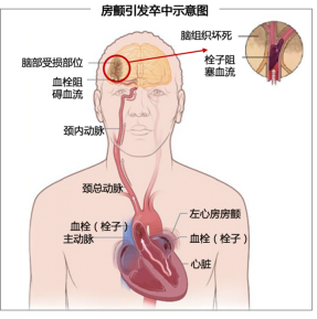 圖片2.png 圖片2.png