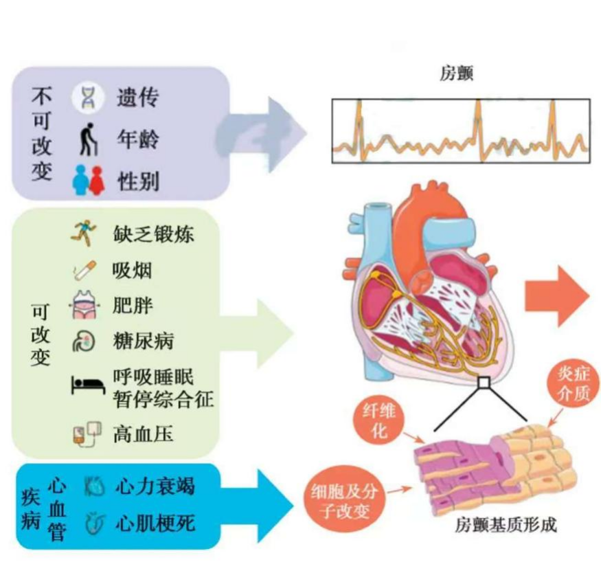 圖片4.png 圖片4.png