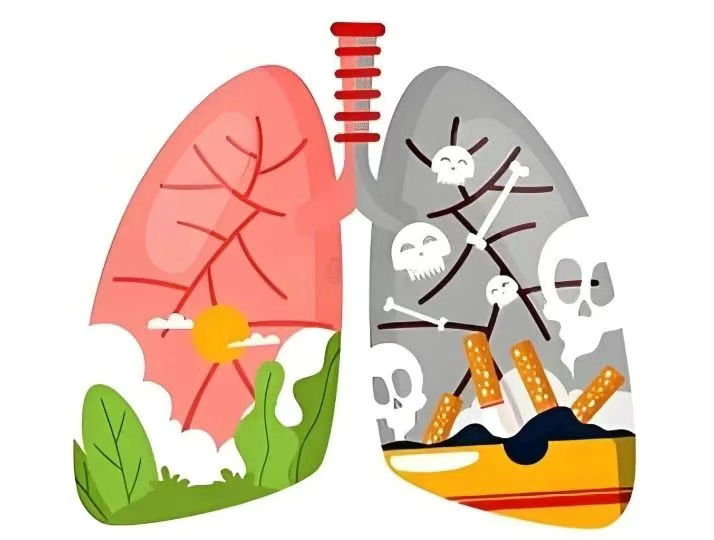 1f959a4785e0e8bd6077d016418c457e (2).png 1f959a4785e0e8bd6077d016418c457e (2).png