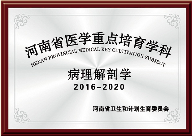 1605149224939613.jpg 20170330151849594959.jpg